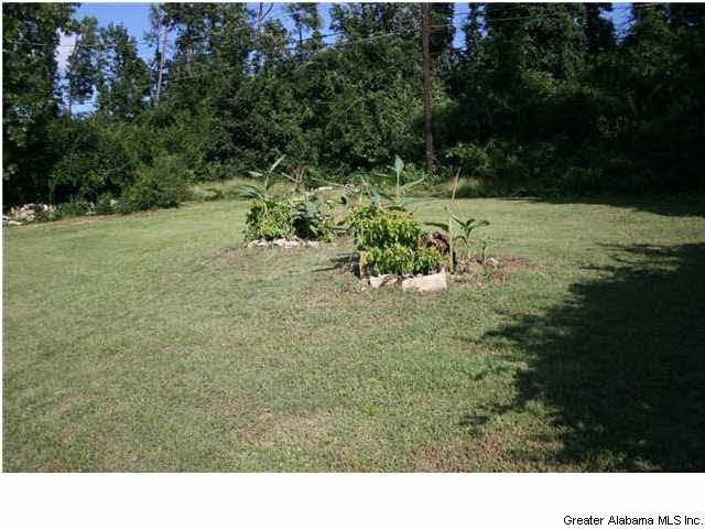 833 Grove Street Birmingham, AL 35209 - Photo 7 of 31