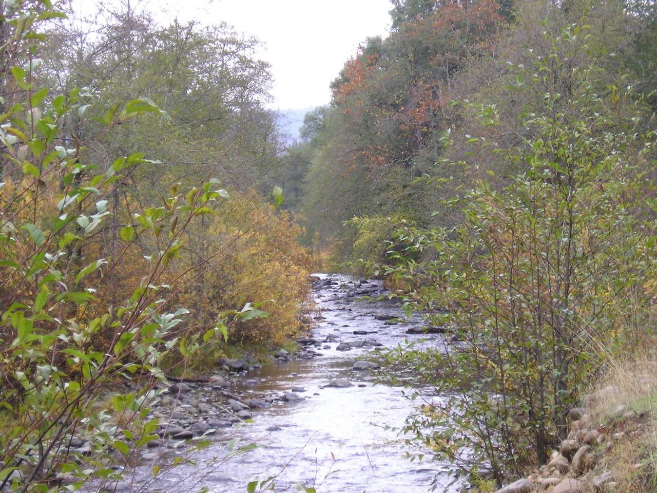 Kimlarry Road Oak Run, CA 96069 - Photo 1 of 4 Creek