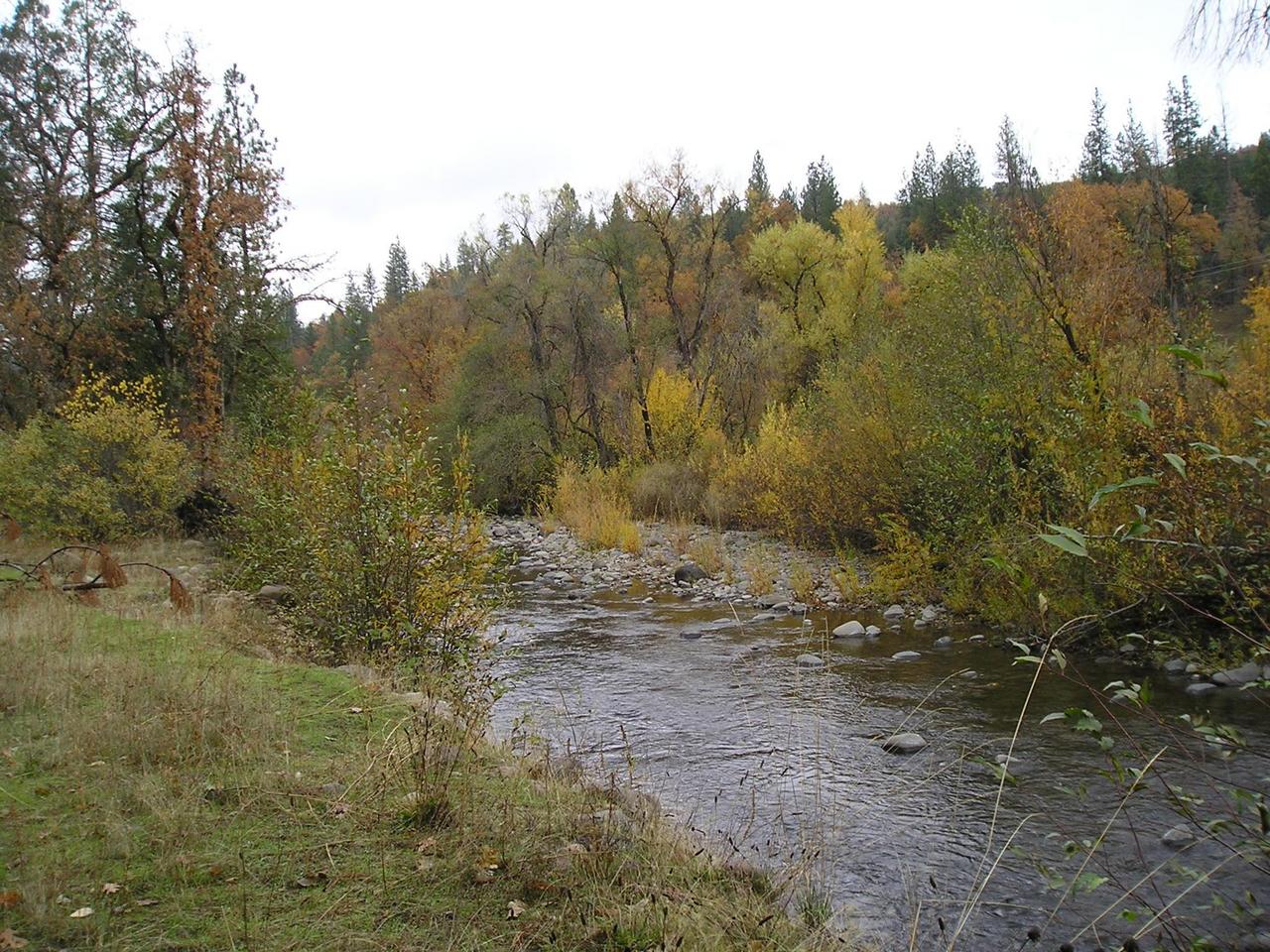 Kimlarry Road Oak Run, CA 96069 - Photo 4 of 4 Creek and view