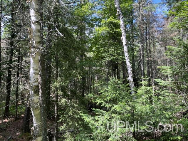 20-acres Willow Creek Road Negaunee, MI 49866 - Photo 7 of 17