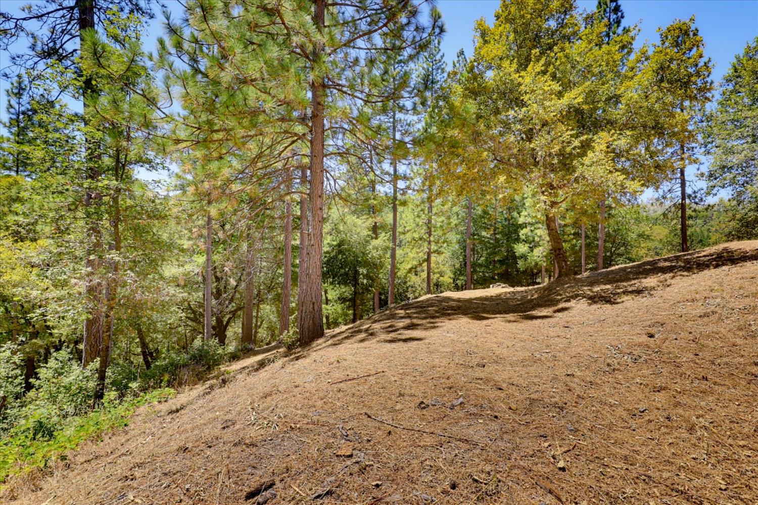 16300 Kiwi Road Grass Valley, CA 95949 - Photo 68 of 88 Gallery Image 68