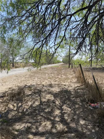 a view of dirt yard with a tree