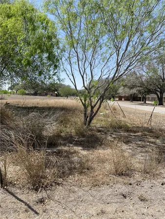 a view of a yard with a tree