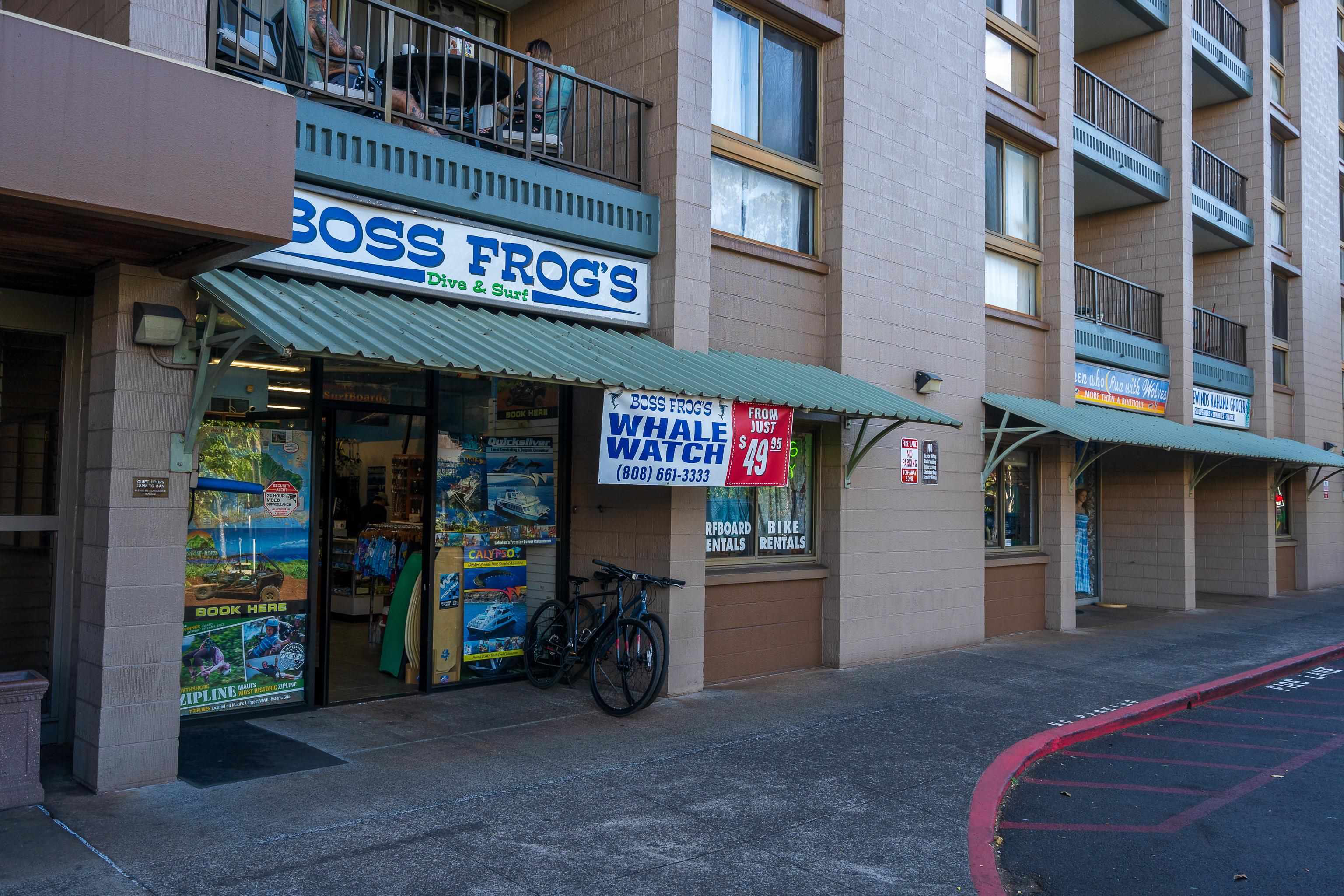 4310 Lower Honoapiilani Road, Unit 220 Lahaina, HI 96761 - Photo 17 of 19