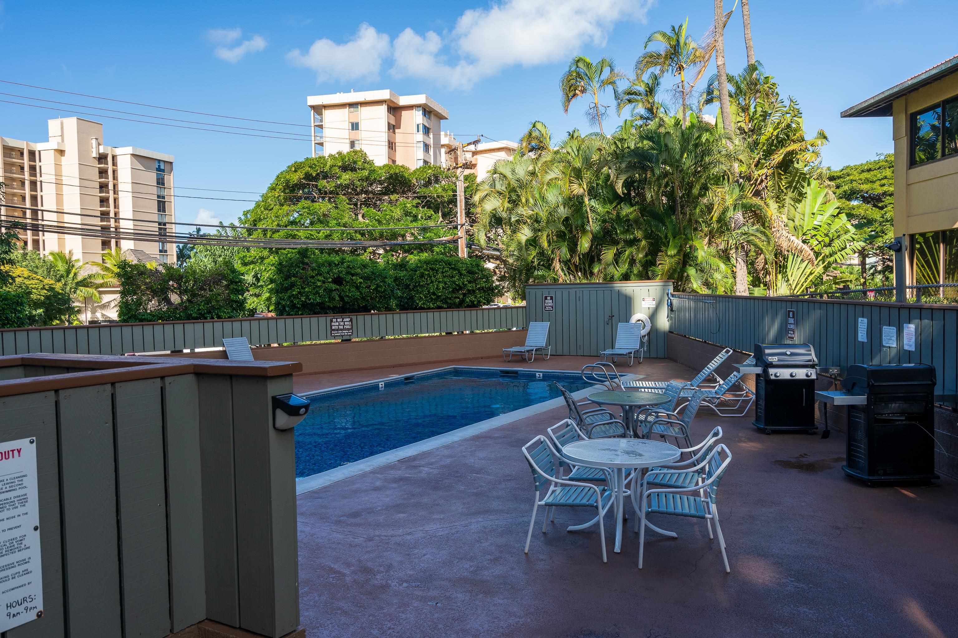 4310 Lower Honoapiilani Road, Unit 220 Lahaina, HI 96761 - Photo 19 of 19