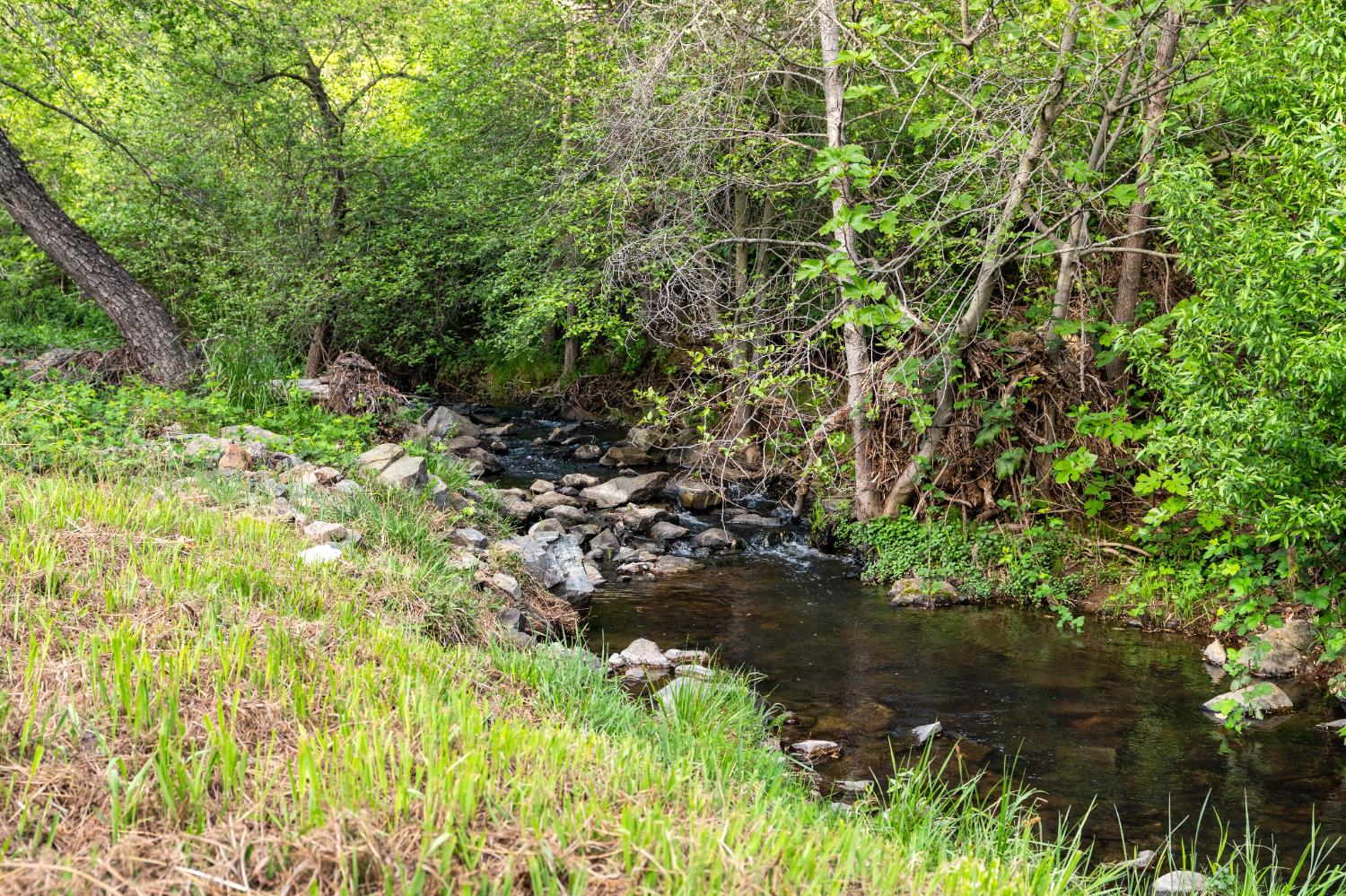 3619 Montclair Road Cameron Park, CA 95682 - Photo 77 of 79