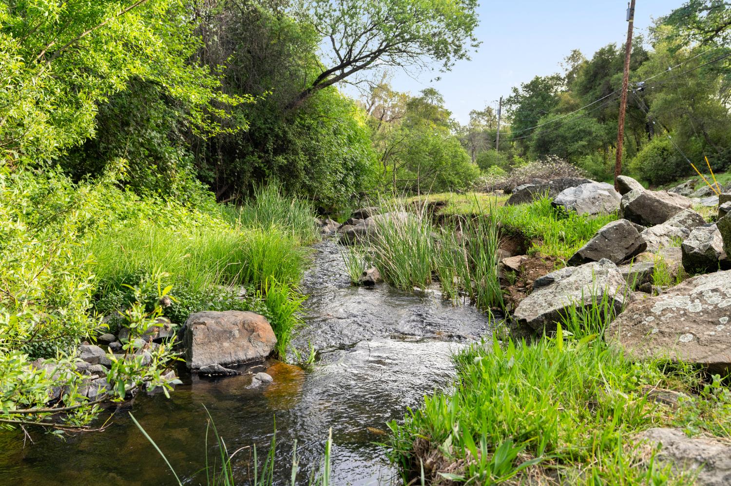 3619 Montclair Road Cameron Park, CA 95682 - Photo 78 of 79