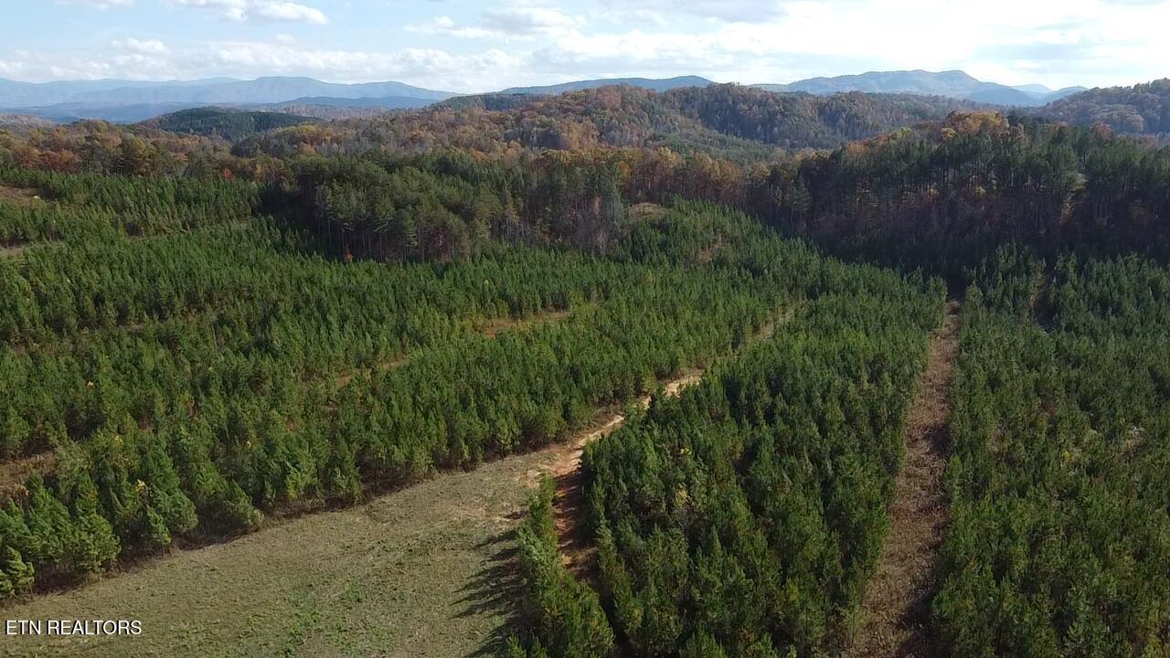 Millsaps Road Vonore, TN 37885 - Photo 7 of 18 2025-11-07-14-23-18-741