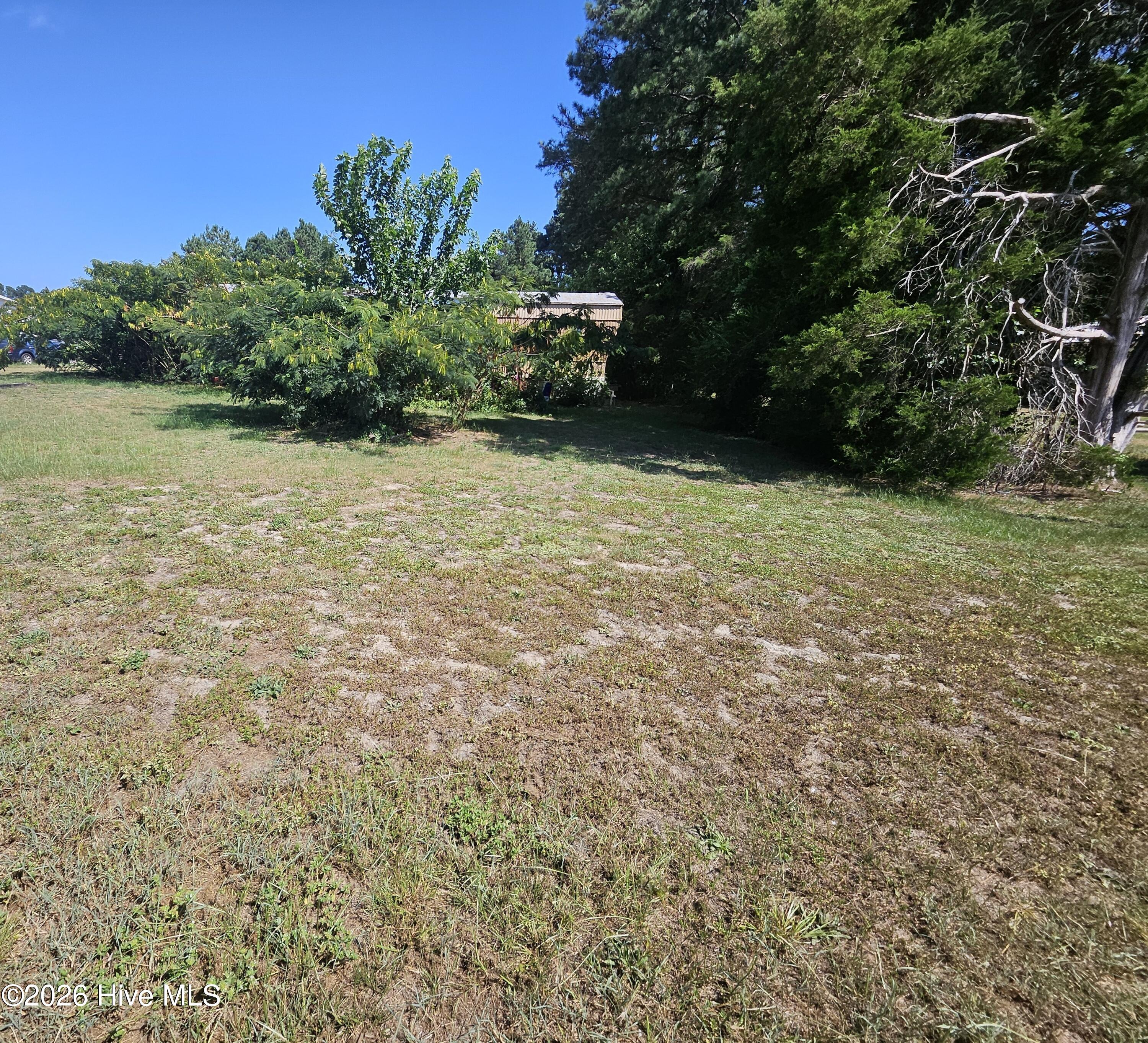 341 Durham Lake Road Dudley, NC 28333 - Photo 5 of 10 Gallery Image 5