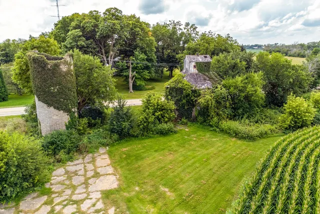 a view of a garden with plants