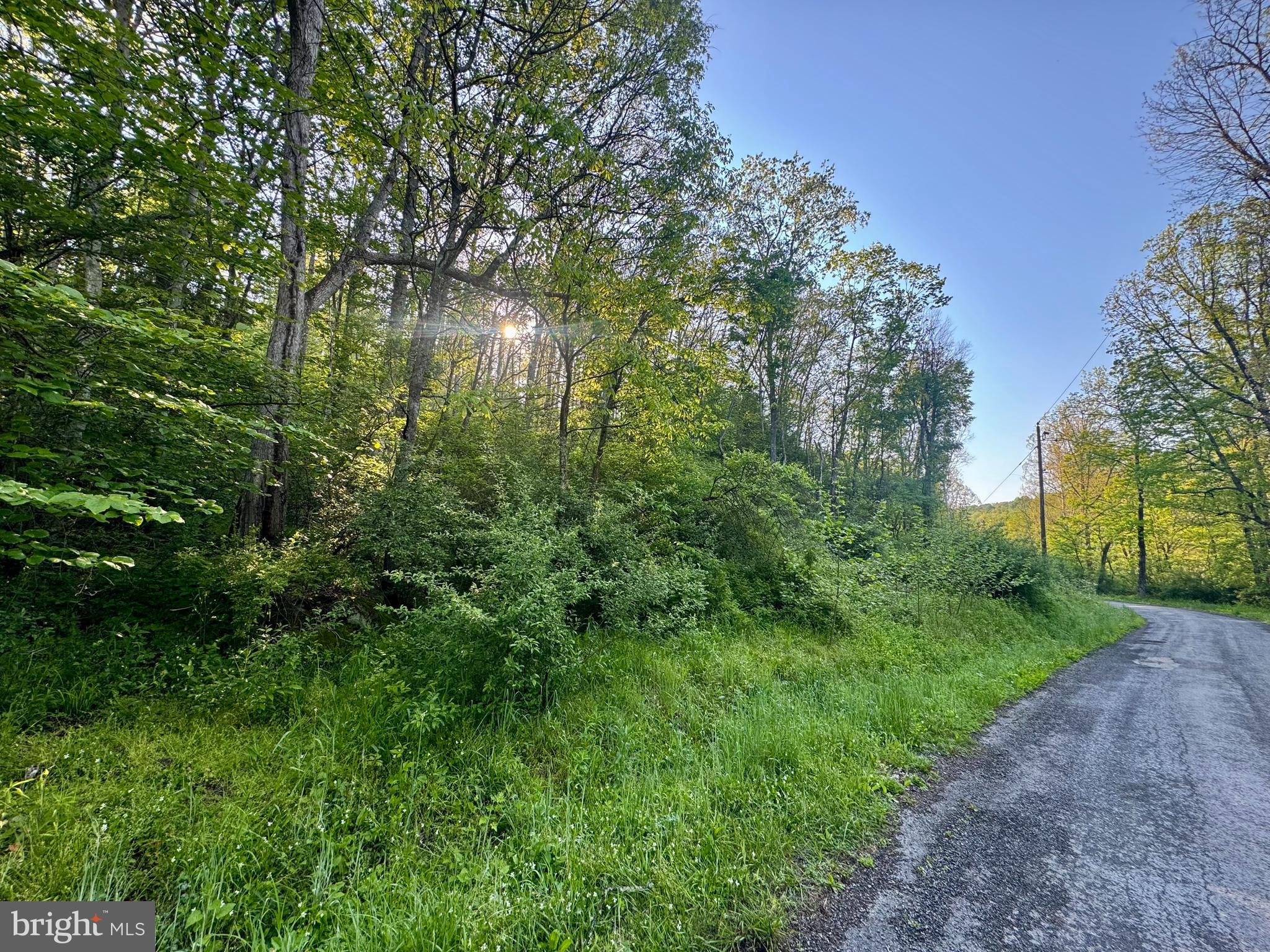 John Orr Road Independence, WV 26374 - Photo 8 of 37