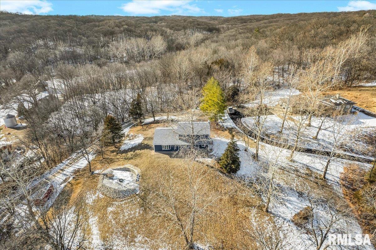 14927 North Ivy Lake Road Chillicothe, IL 61523 - Photo 30 of 37