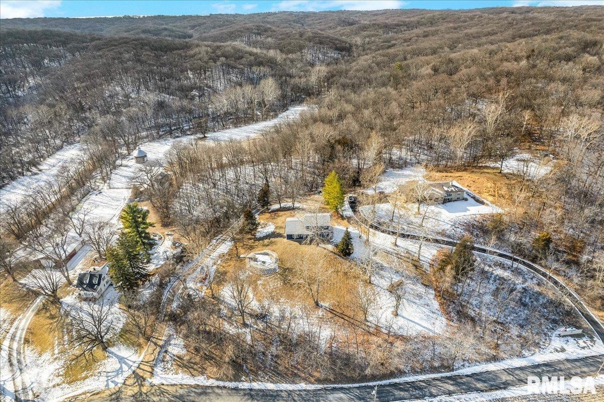 14927 North Ivy Lake Road Chillicothe, IL 61523 - Photo 35 of 37