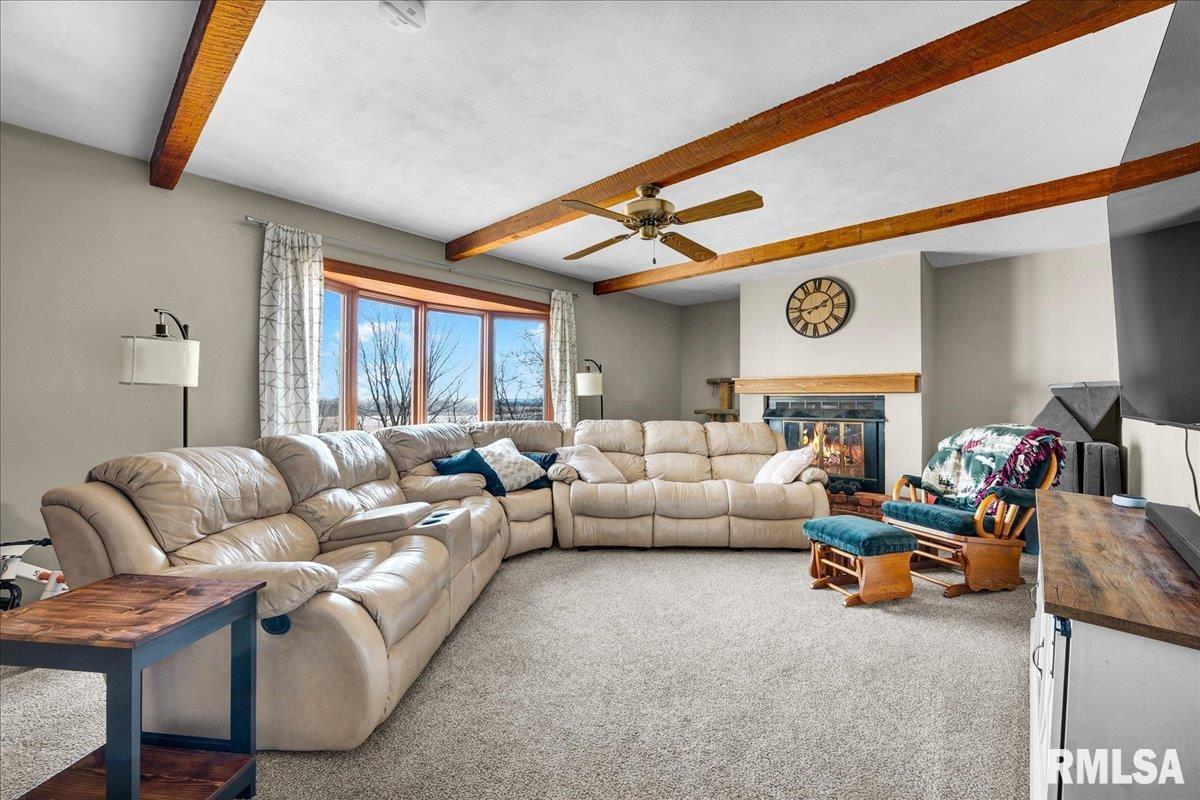 14927 North Ivy Lake Road Chillicothe, IL 61523 - Photo 9 of 37