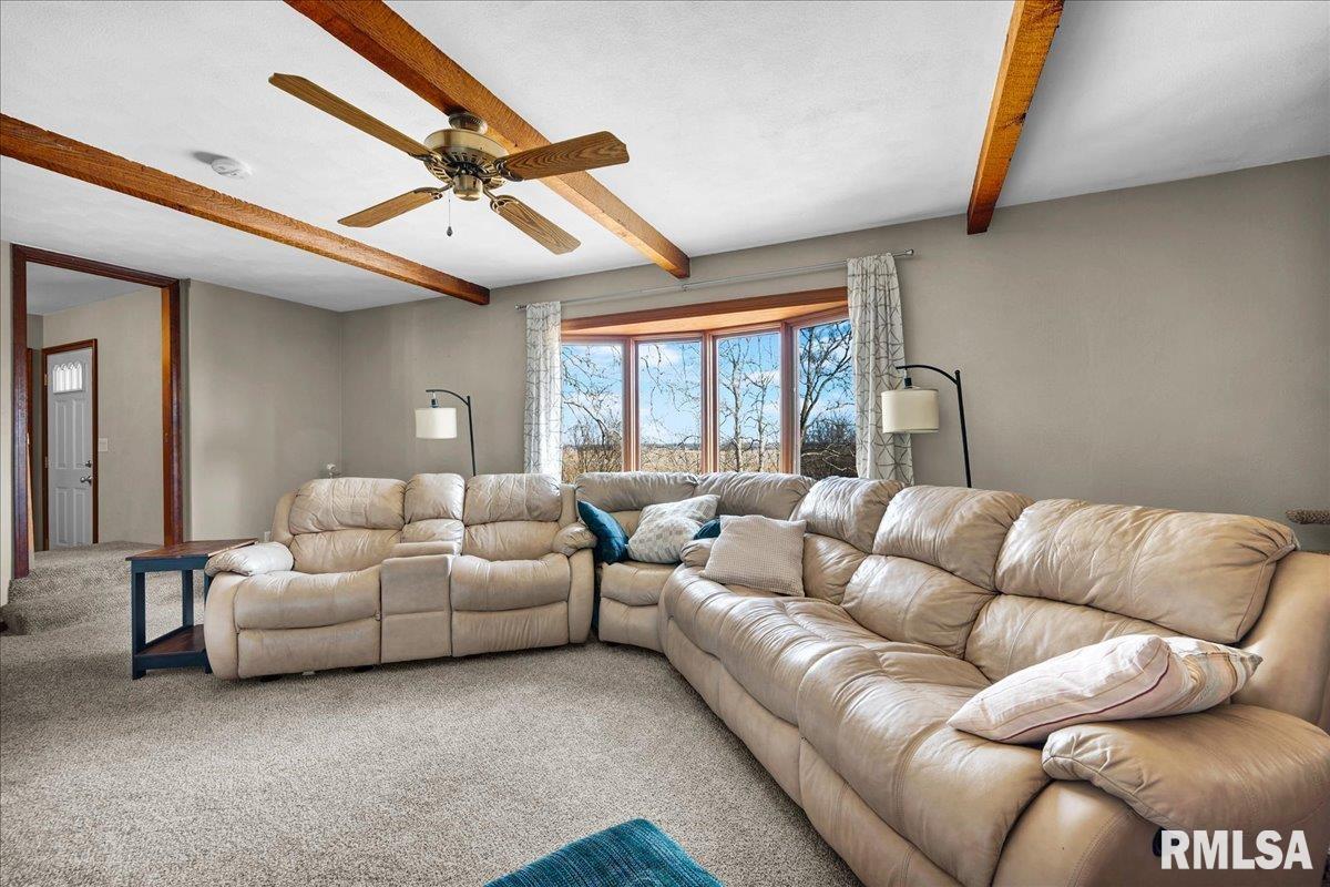 14927 North Ivy Lake Road Chillicothe, IL 61523 - Photo 10 of 37