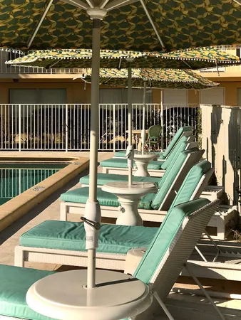 $2,095 | 4850 Northeast 5th Avenue, Unit 308, Boca Raton, FL 33431