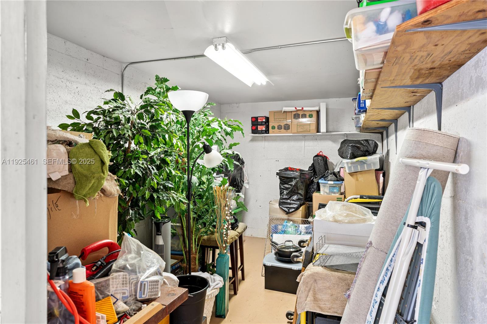 6751 Cypress Road, Unit 207 Plantation, FL 33317 - Photo 16 of 20 a living room with furniture and a potted plant