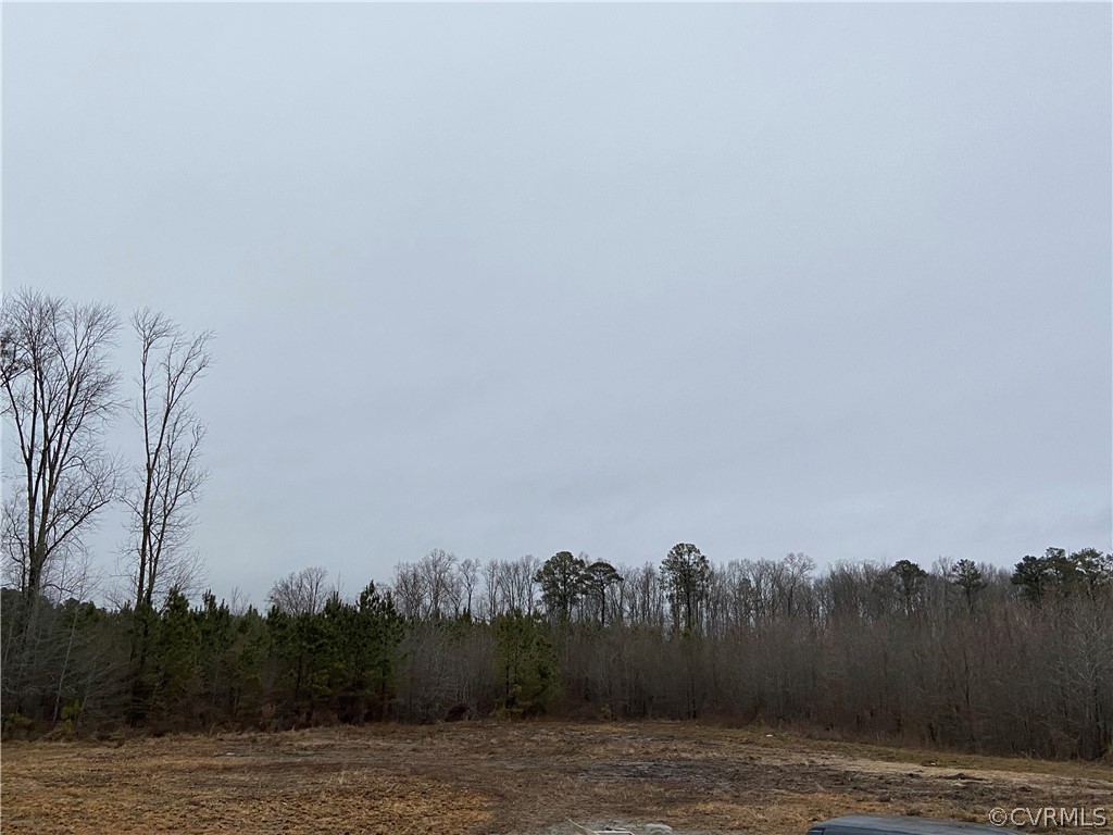 24400 Ole Bole Road Carson, VA 23830 - Photo 18 of 20