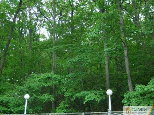 21 Navajo Road East Brunswick, NJ 08816 - Photo 7 of 8 a view of a forest with a houses
