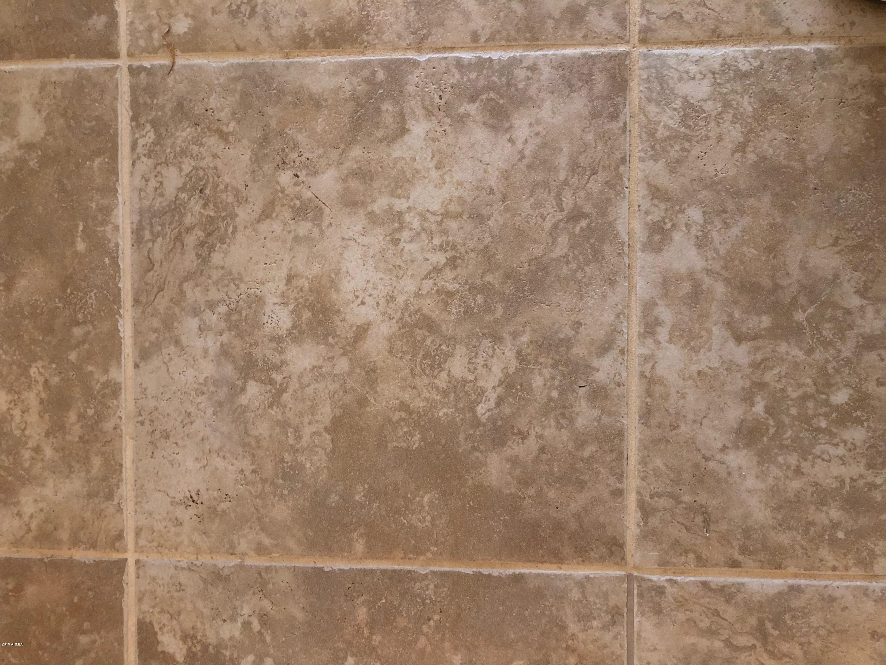 15832 West Calavar Road Surprise, AZ 85379 - Photo 13 of 58 20 INCH TILE