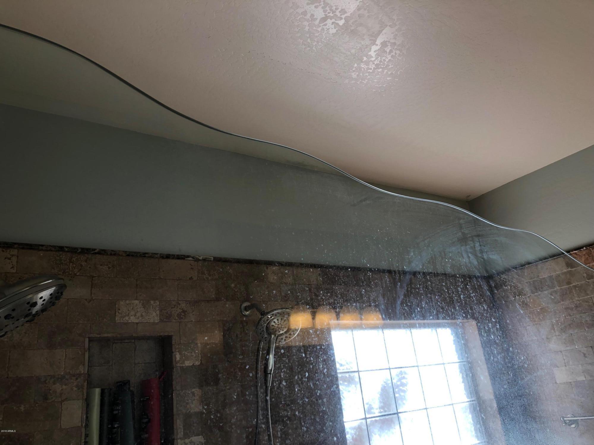 15832 West Calavar Road Surprise, AZ 85379 - Photo 35 of 58 MASTER SHOWER CUSTOM GLASS