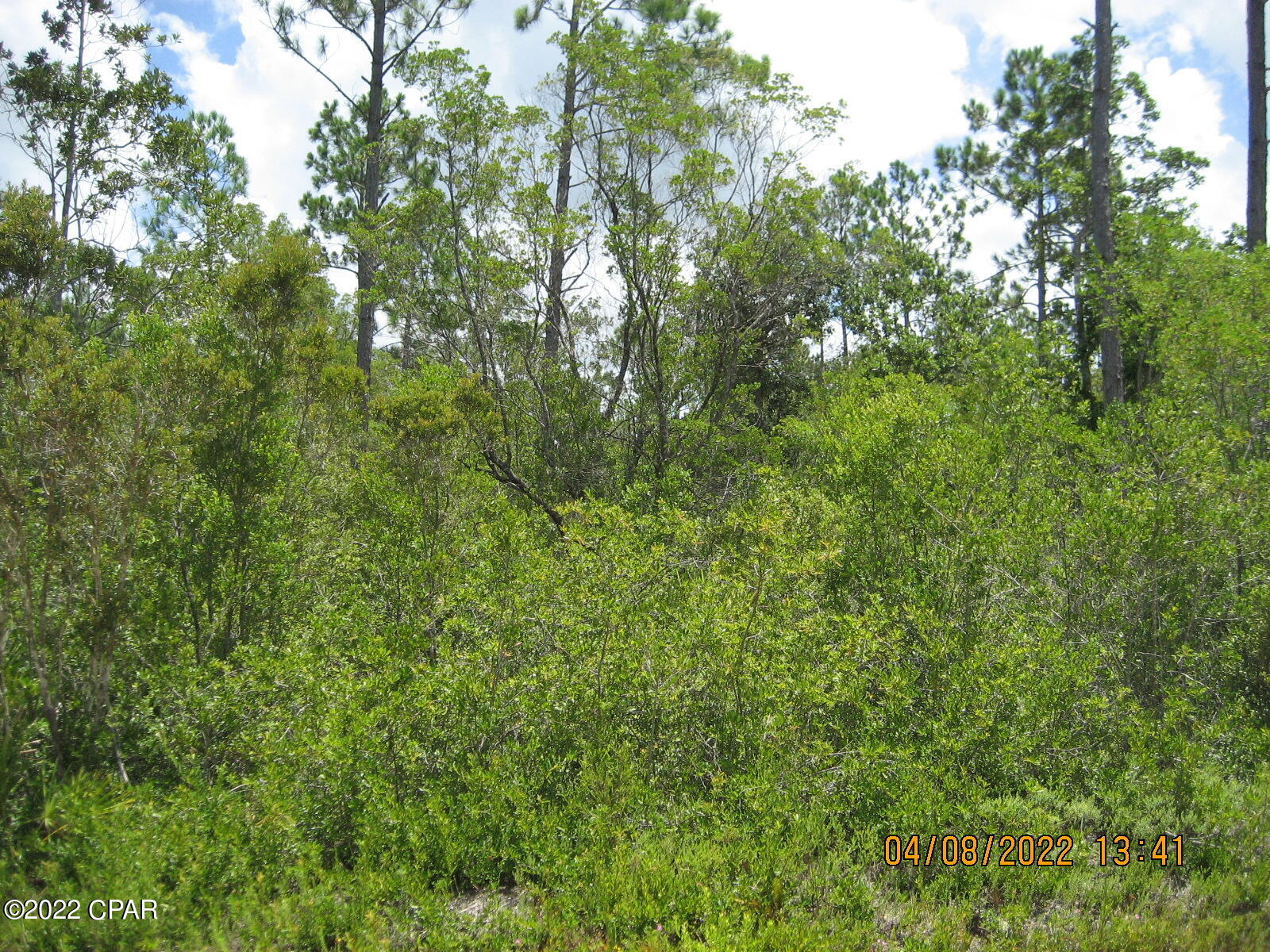 17714 Foster Road Fountain, FL 32438 - Photo 13 of 28 Gallery Image 13