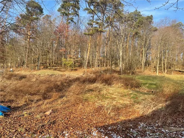 a view of dirt yard with a large tree