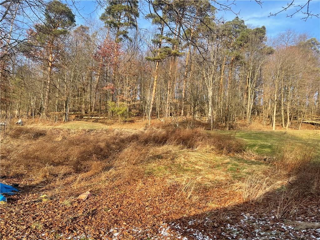 2181 Barr Slope Road Clymer, PA 15728 - Photo 3 of 12