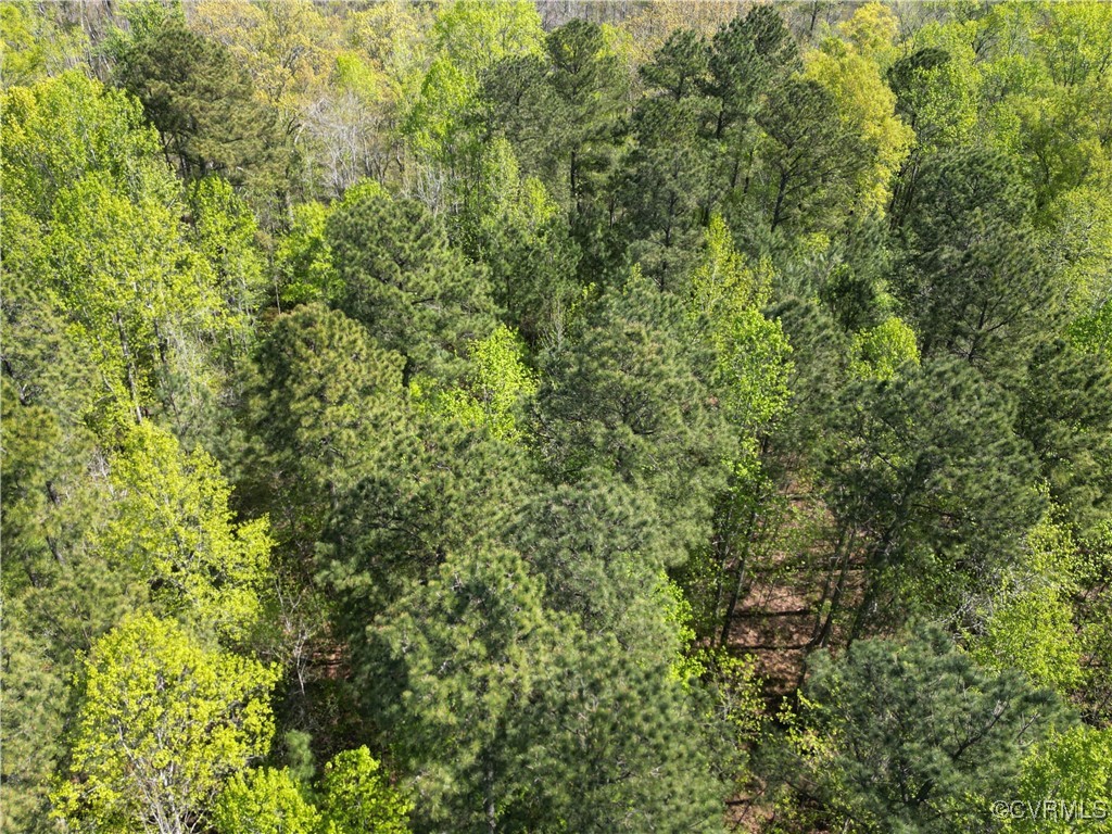 3875 Wakema Road West Point, VA 23181 - Photo 39 of 45 a view of a lush green forest