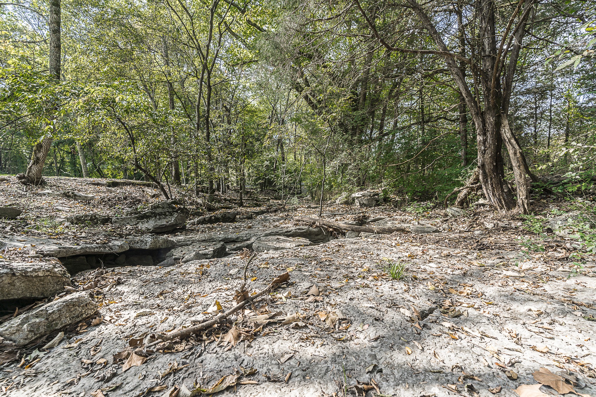 105 Canoe Branch Road Castalian Springs, TN 37031 - Photo 13 of 42 Gallery Image 13