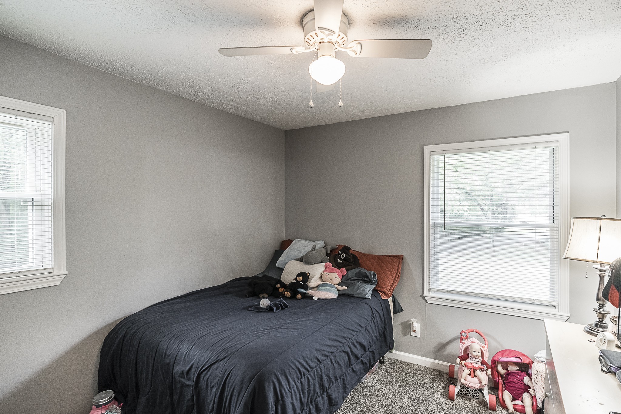 105 Canoe Branch Road Castalian Springs, TN 37031 - Photo 35 of 42 Gallery Image 35