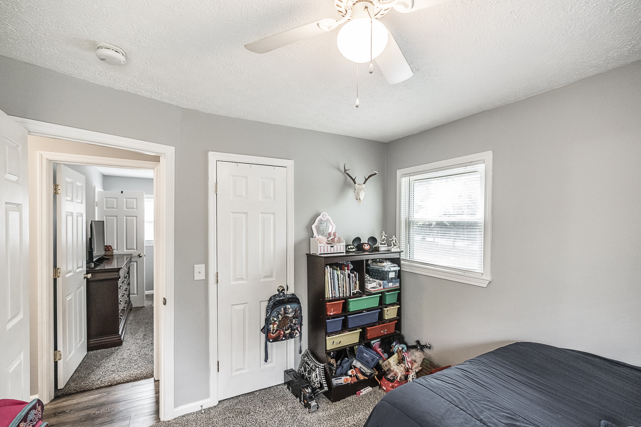 105 Canoe Branch Road Castalian Springs, TN 37031 - Photo 36 of 42 Gallery Image 36