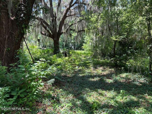 11660 Mandarin Terrace Road Jacksonville, FL 32223 - Photo 3 of 3 mand terrace4