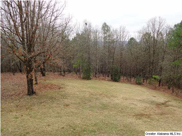 2036 Brook Highland Ridge Birmingham, AL 35242 - Photo 16 of 16