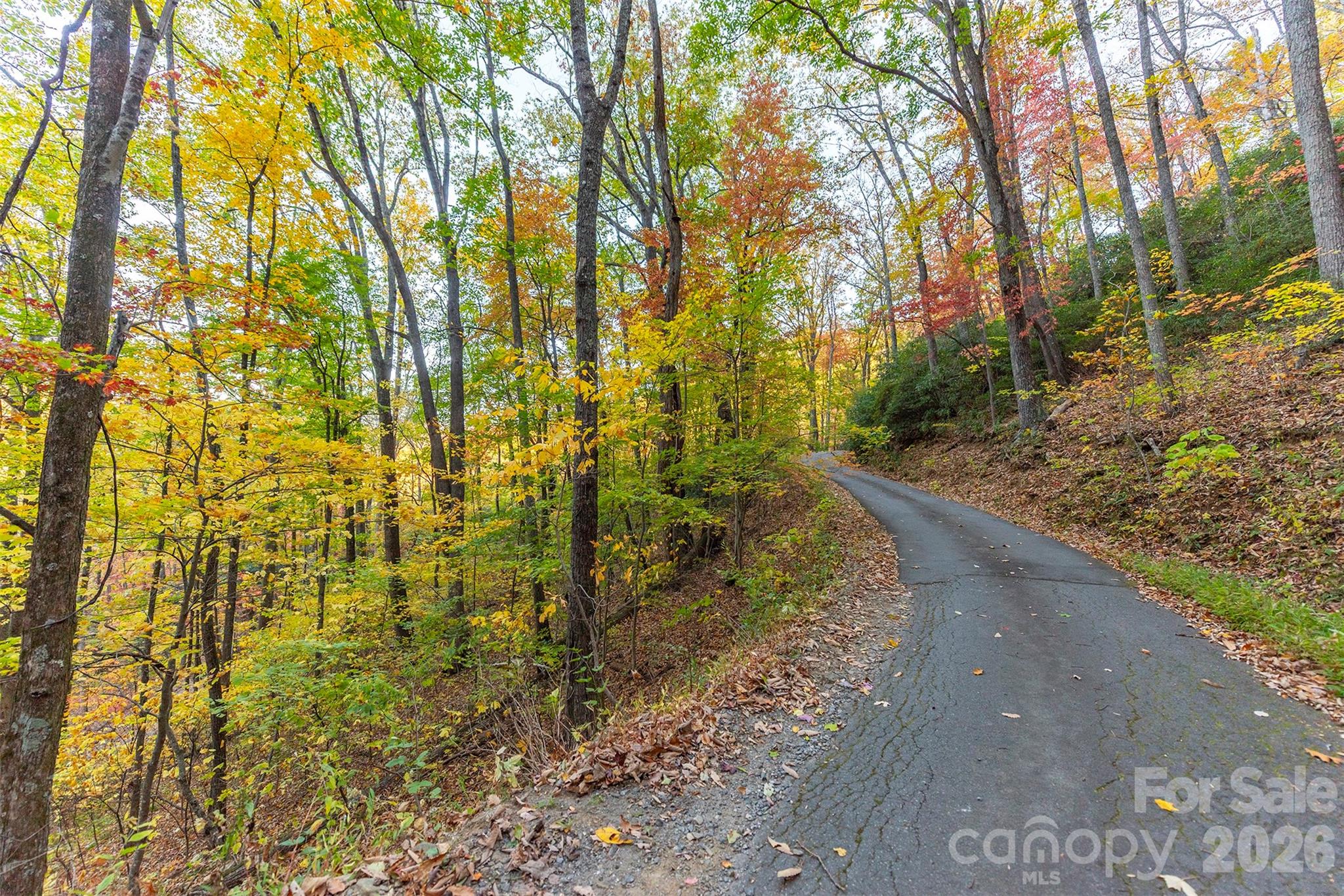 Tbd Summer Haven Road, Unit 16 Swannanoa, NC 28778 - Photo 19 of 45