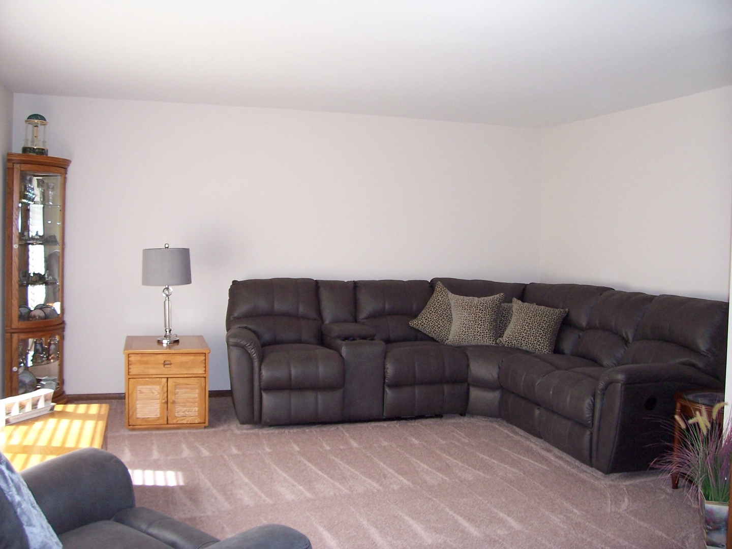 411 Lemont Street Lemont, IL 60439 - Photo 7 of 31 a living room with furniture and a couch