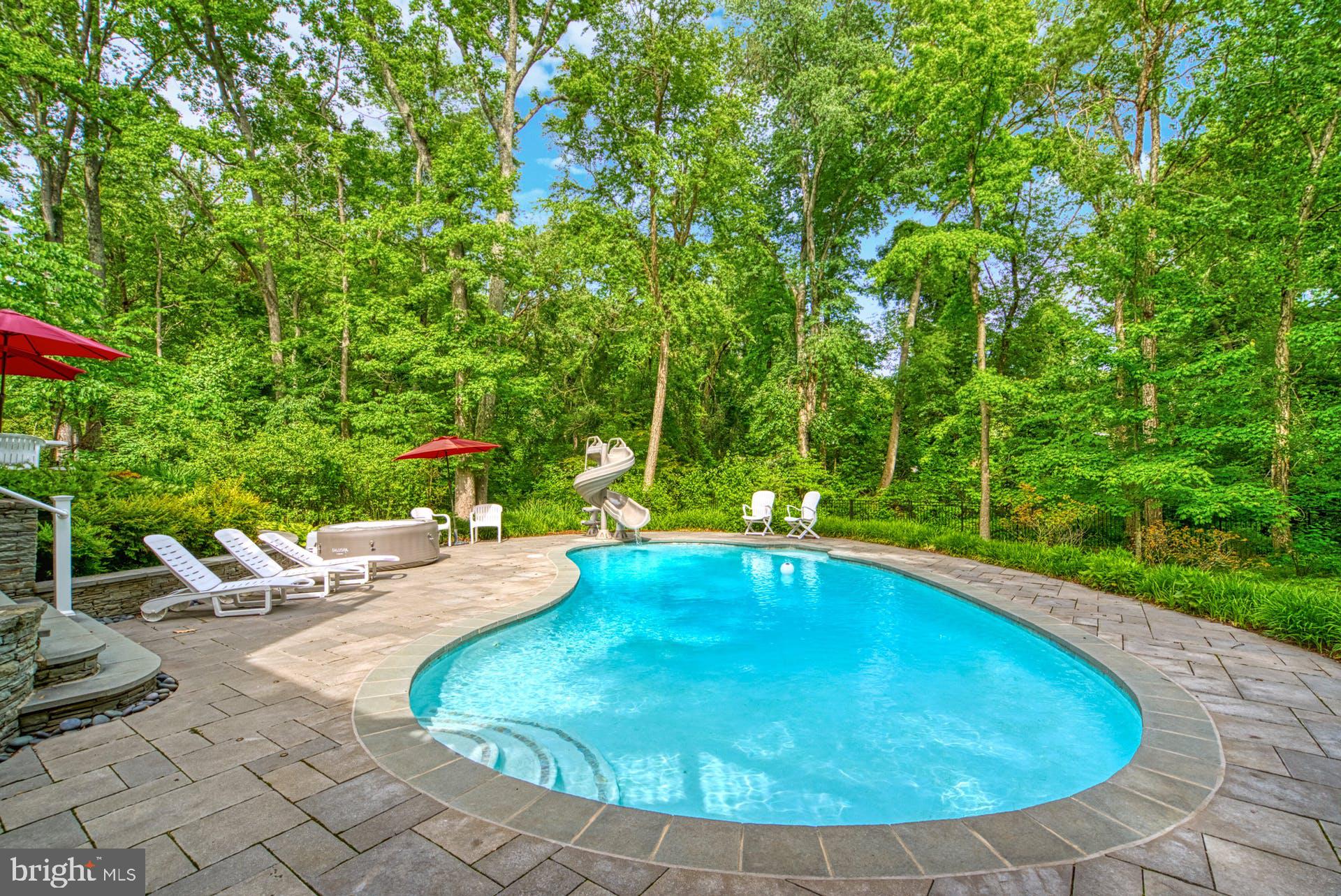 1629 Courtland Road Alexandria, VA 22306 - Photo 27 of 59 Close to half acre lot, surrounded in nature