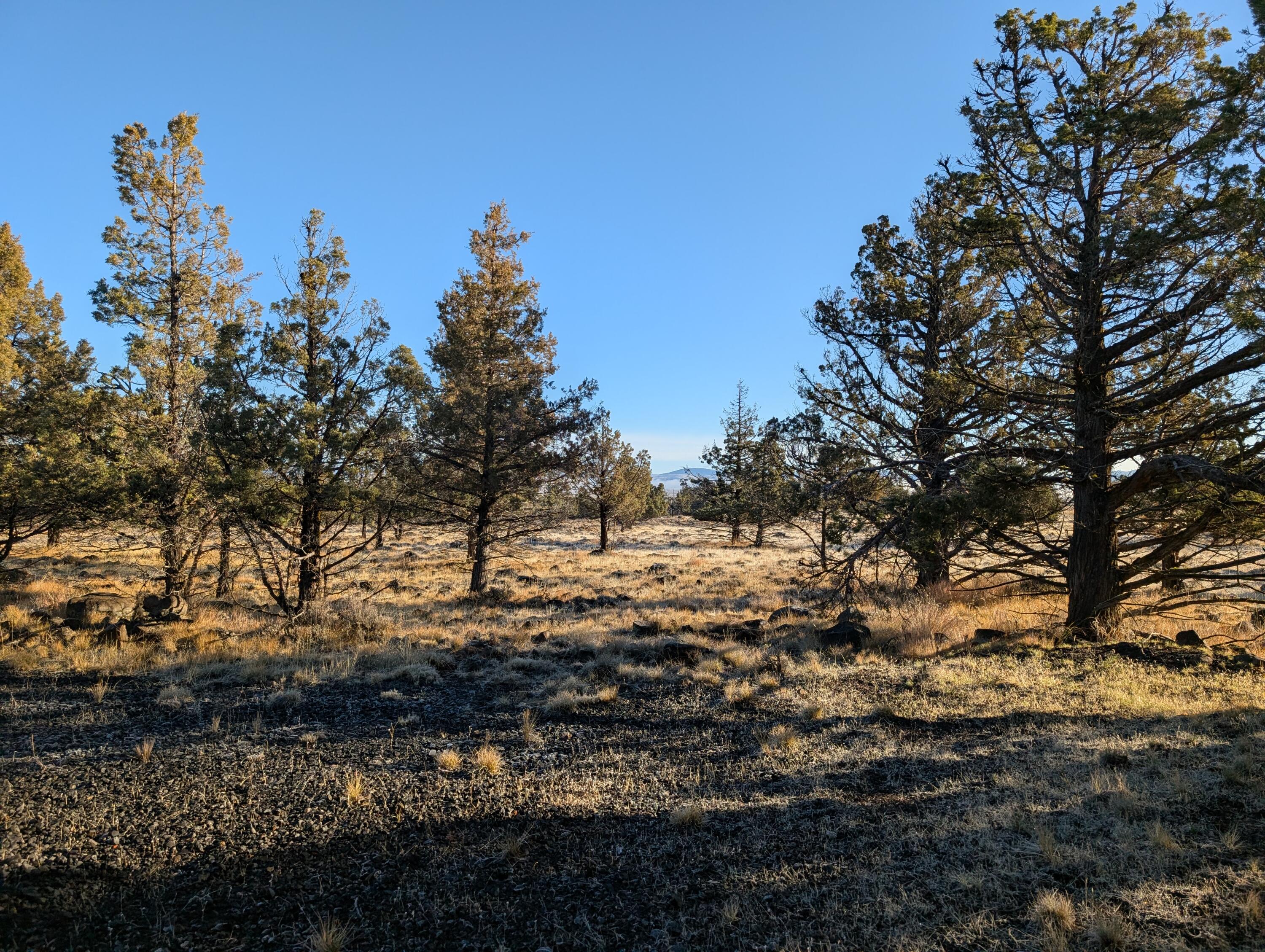 Cedar Trail Klamath Falls, OR 97603 - Photo 4 of 24 PXL_20251027_161653661
