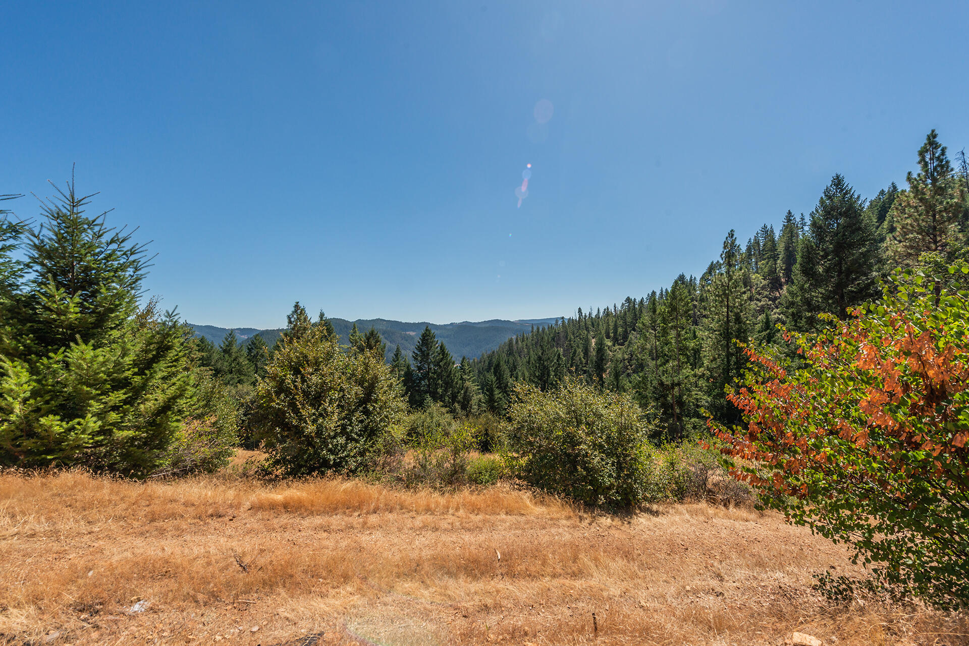 1511 Upper Moore Gulch Road Trinity Center, CA 96091 - Photo 44 of 62 DSC_6715