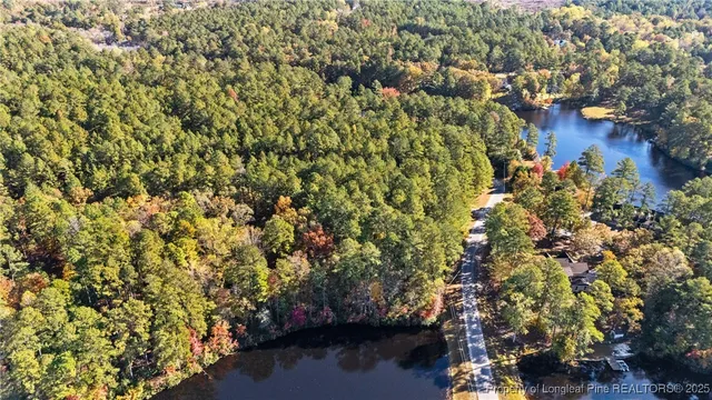 a view of a lush green forest next to a building