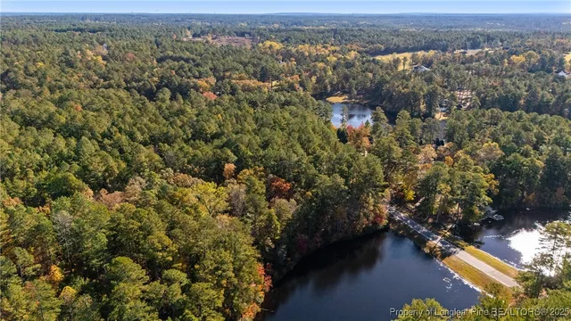 an aerial view of forest