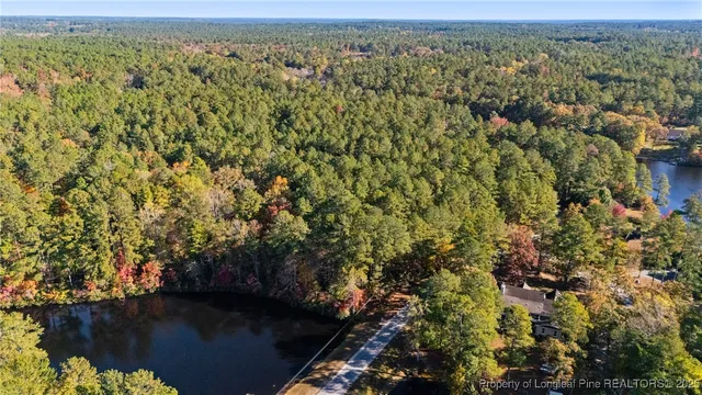 a view of a house with a lush green forest