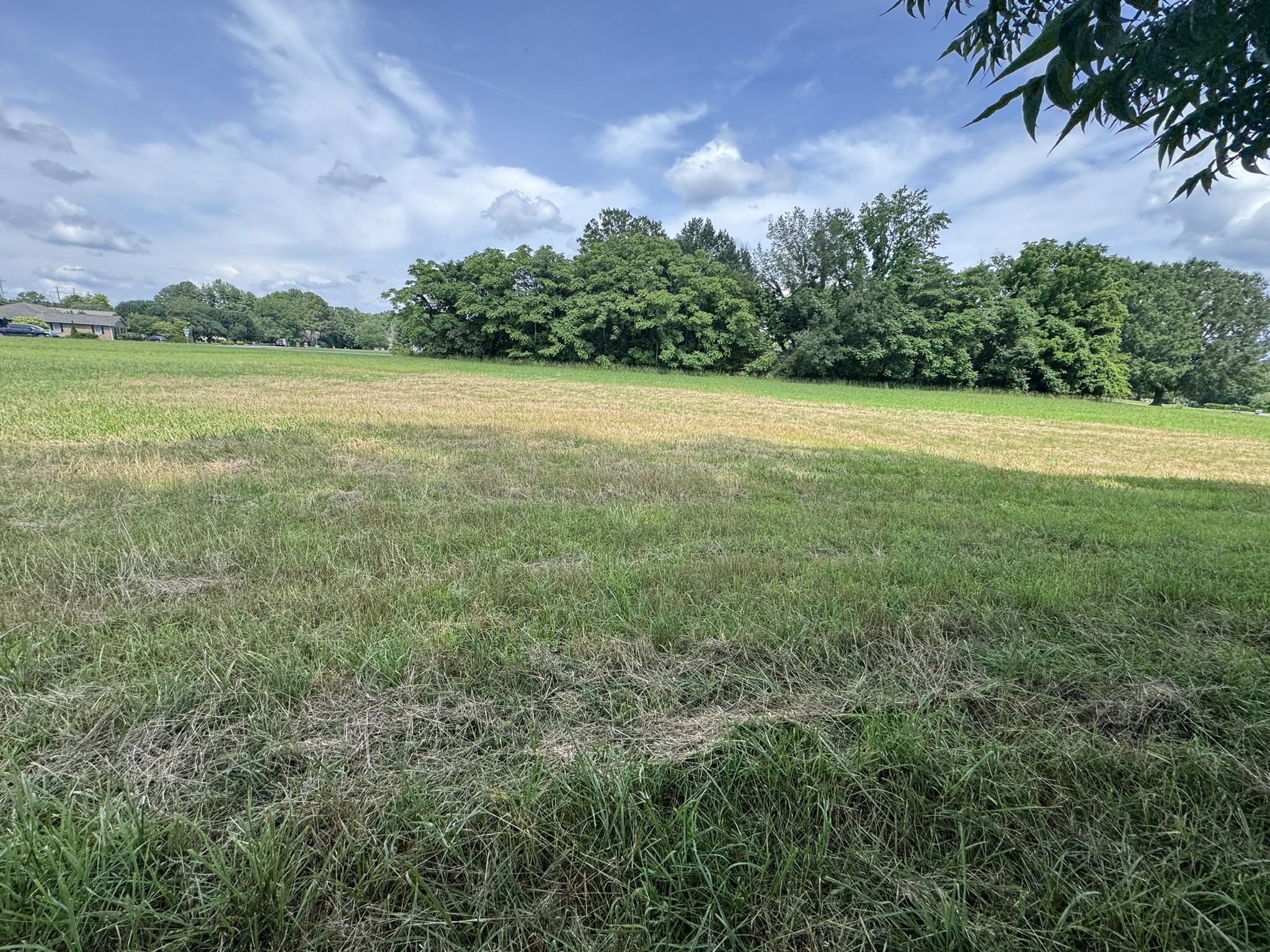 0 Lakeview Way Winchester, TN 37398 - Photo 16 of 17 a view of a garden with a building in the background