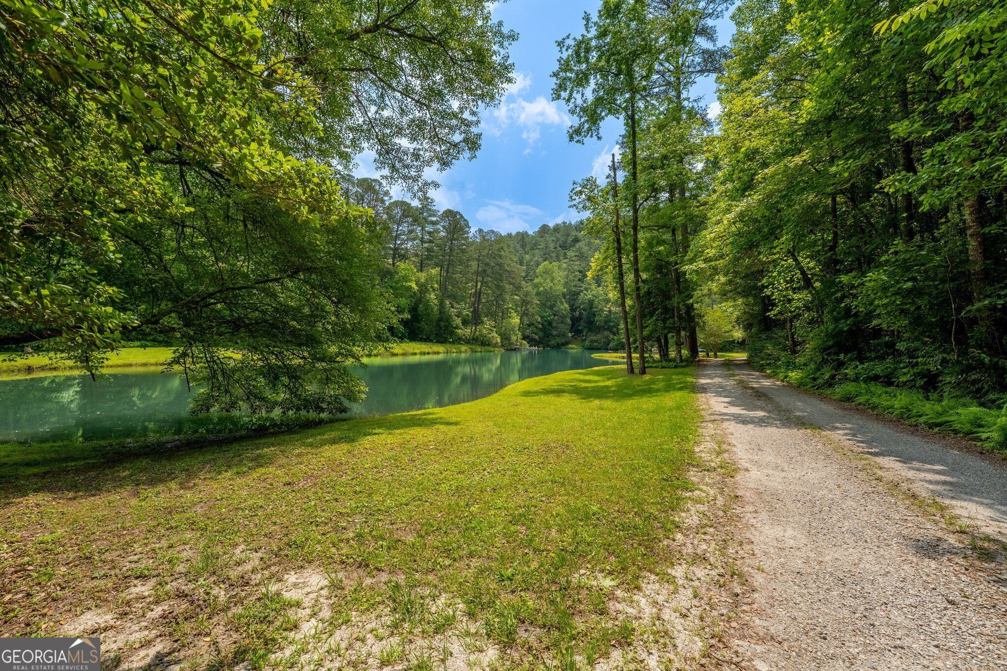 0 Grizzly Ridge Road Lakemont, GA 30552 - Photo 11 of 75 a view of a swimming pool with a yard