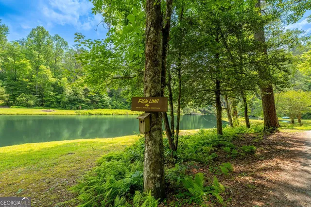 a view of a lush green forest with a mountain