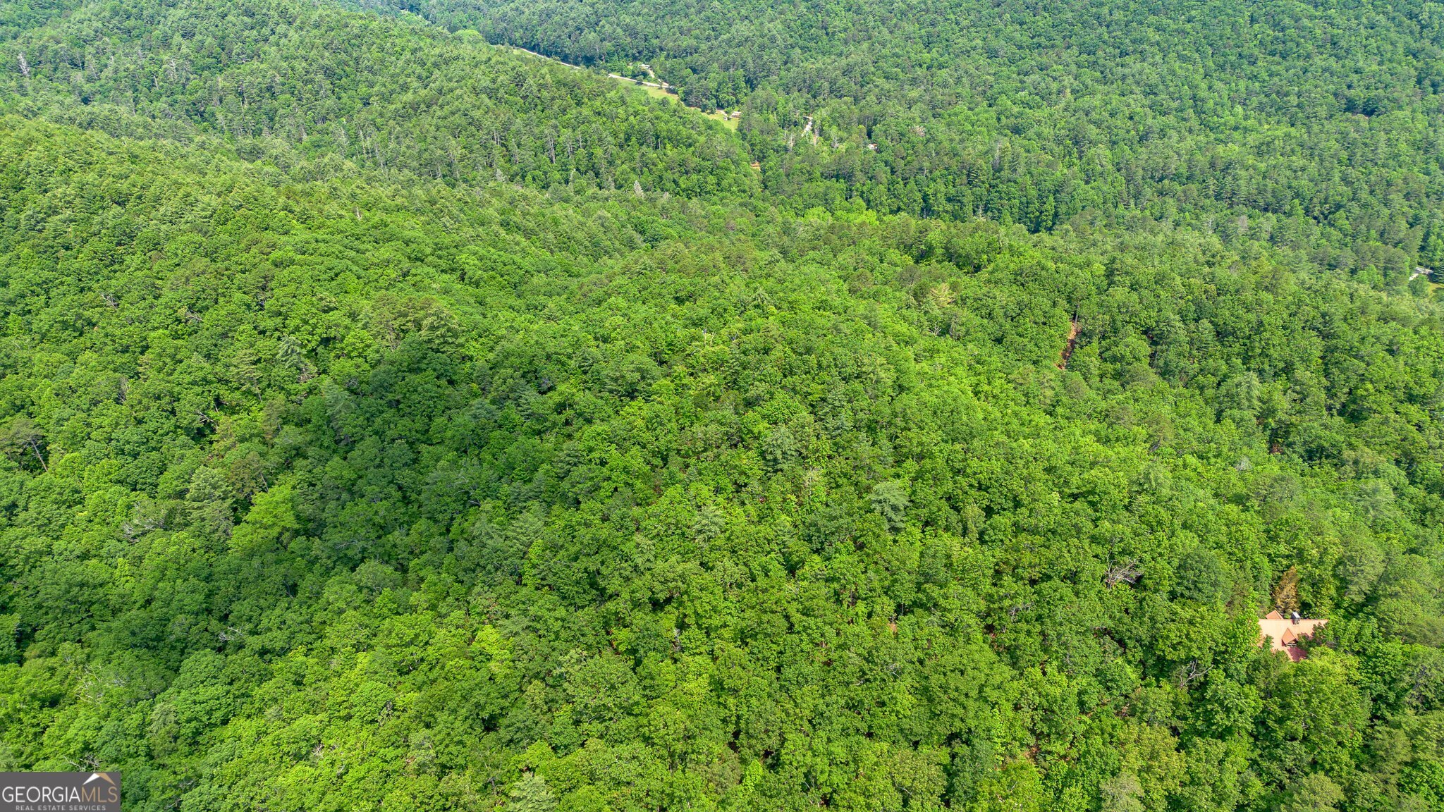 0 Grizzly Ridge Road Lakemont, GA 30552 - Photo 18 of 75 a view of a lush green forest