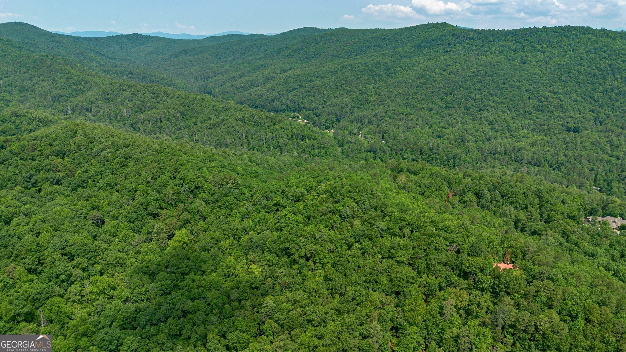 0 Grizzly Ridge Road Lakemont, GA 30552 - Photo 20 of 75 a view of a lush green forest with a mountain