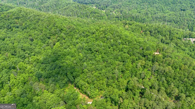 a view of a lush green hillside and mountains