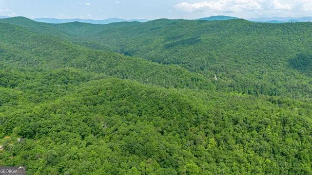 a view of a lush green space