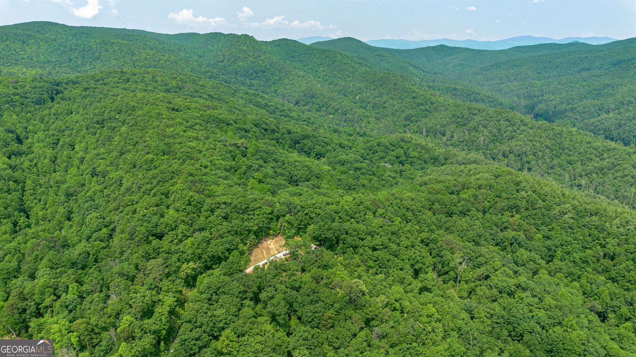 0 Grizzly Ridge Road Lakemont, GA 30552 - Photo 23 of 75 a view of a lush green forest with trees in the background
